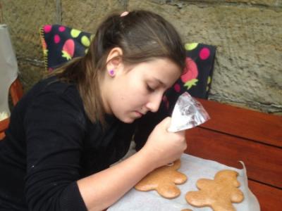 Weihnachtslebkuchen backen